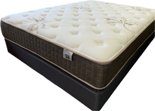 Load image into Gallery viewer, Golden Ortho 3000 Plush