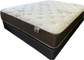 Golden Ortho 3000 Plush